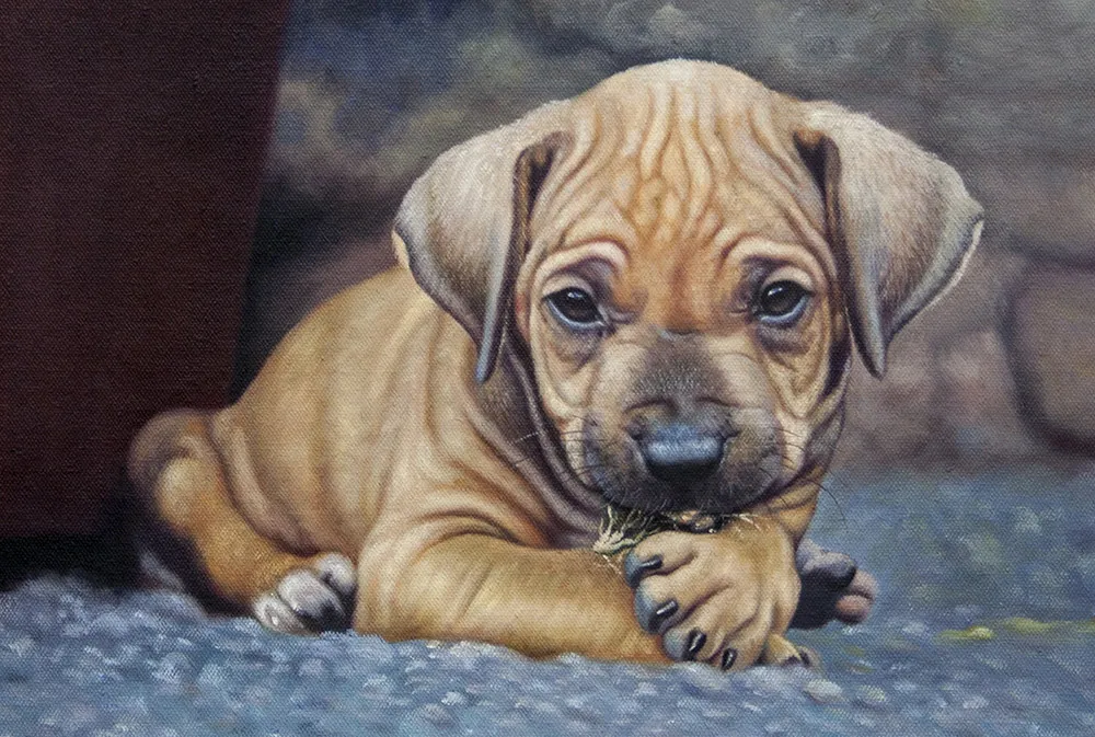 Hundehvalp-med-rynker_MALERI